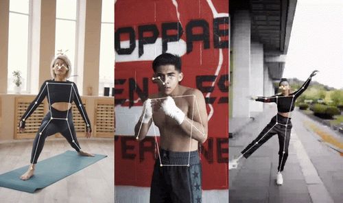 Find the best human pose estimation solution for 2024